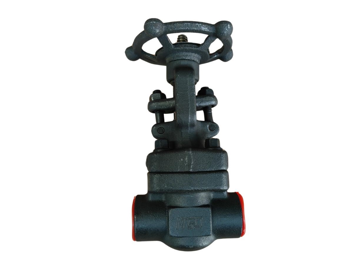 Robinet vannes acier