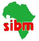 SIBM CI